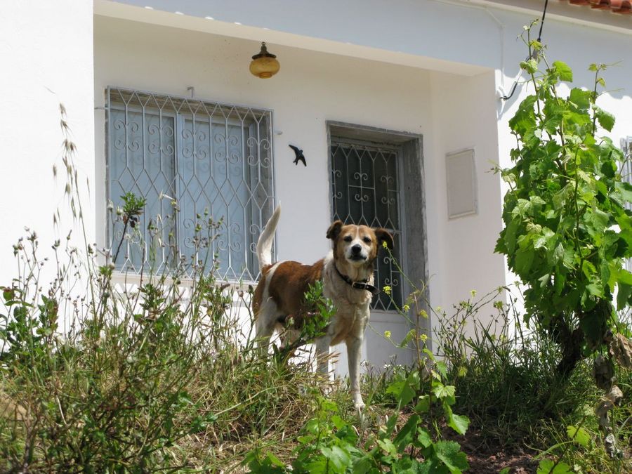 gal/2008-04 Portugal/Adrien/0116.jpg